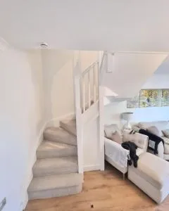 1a7cab7f40d6767dfca35aa8e457ce3b.double-winder-staircase-painted-white-with-carpeted-stairs