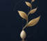 Intentional Growth book cover